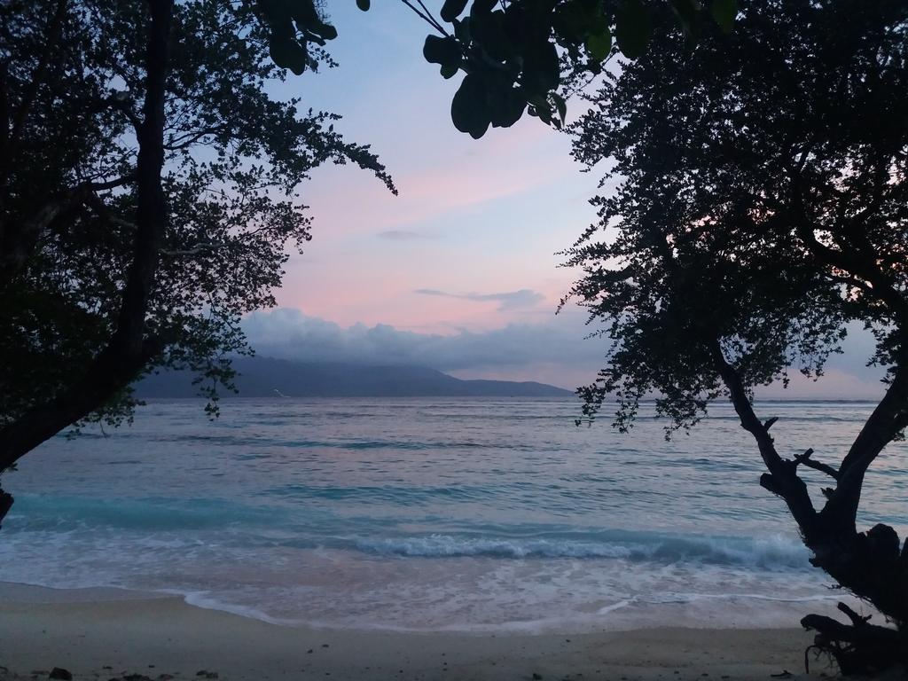 Cotton Tree Cottages Gili Trawangan Exterior foto